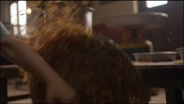 Binddii - 13th October 2025